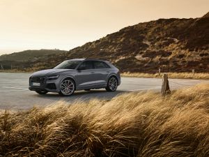 Audi Q8 Bilder